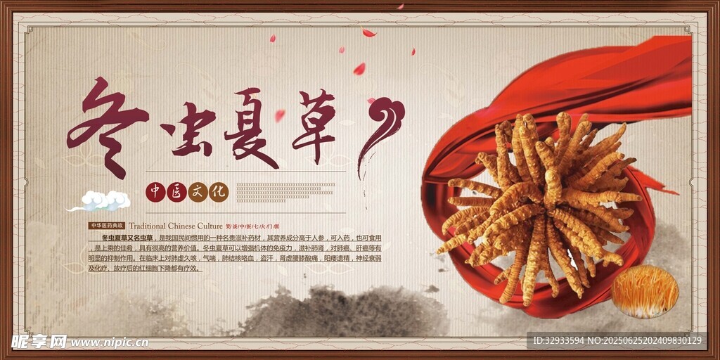 中國風(fēng)冬蟲夏草藥材模板展板
