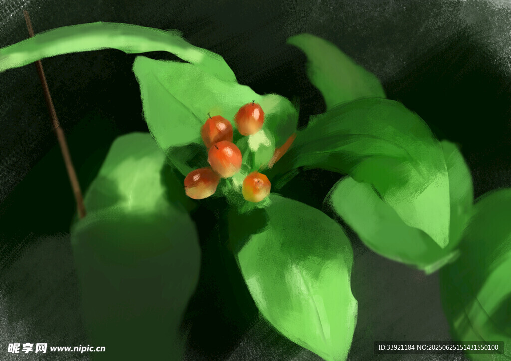 綠葉間的紅色漿果
