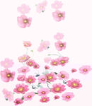 粉色爛漫花朵飄落場景