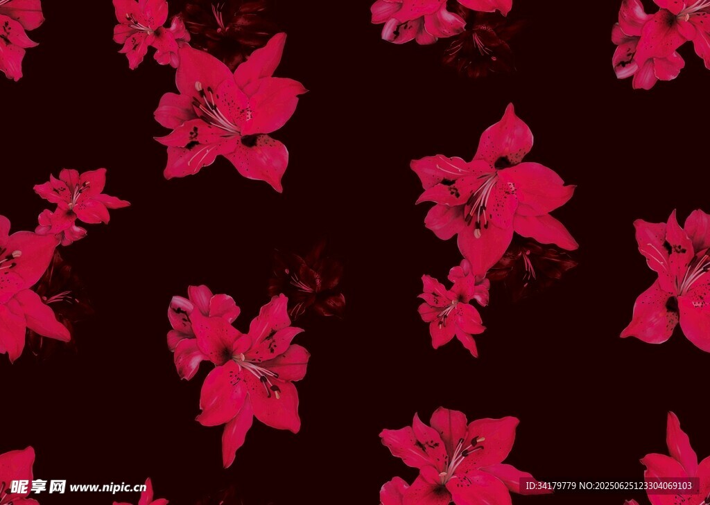 深紅背景上的艷麗紅花朵