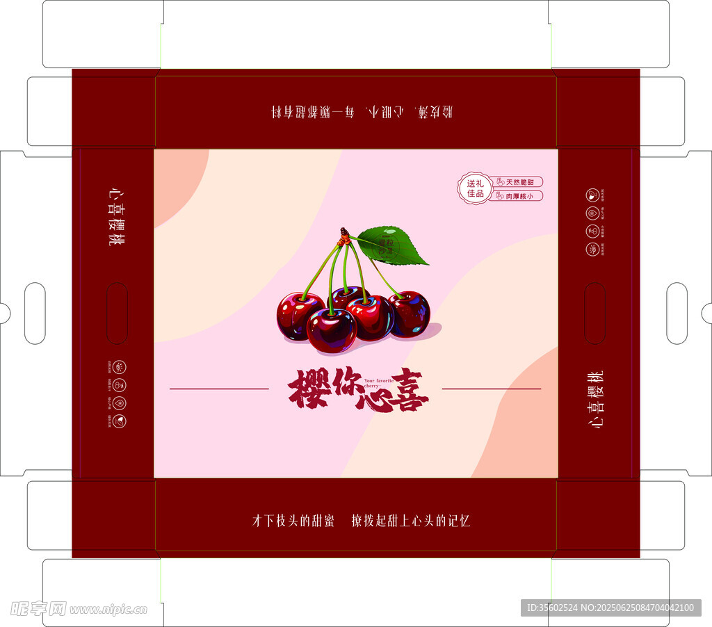 櫻桃主題插畫設計