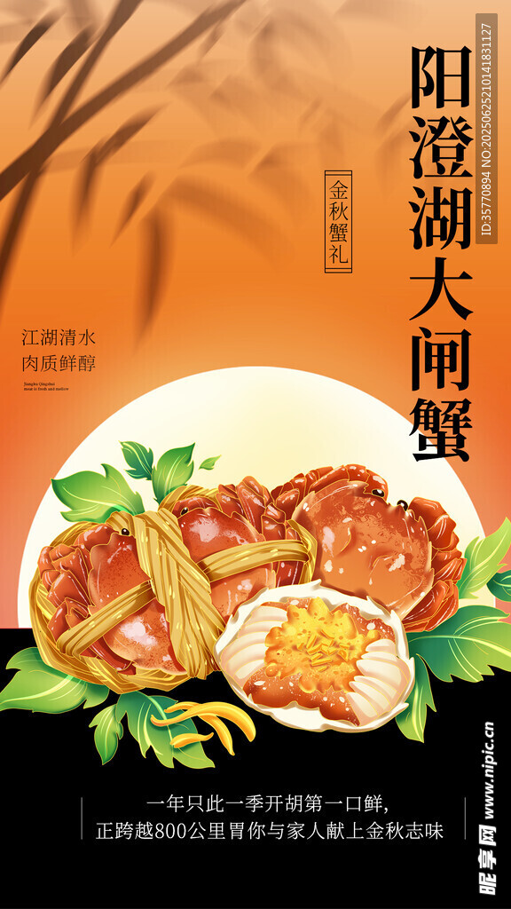 大閘蟹 