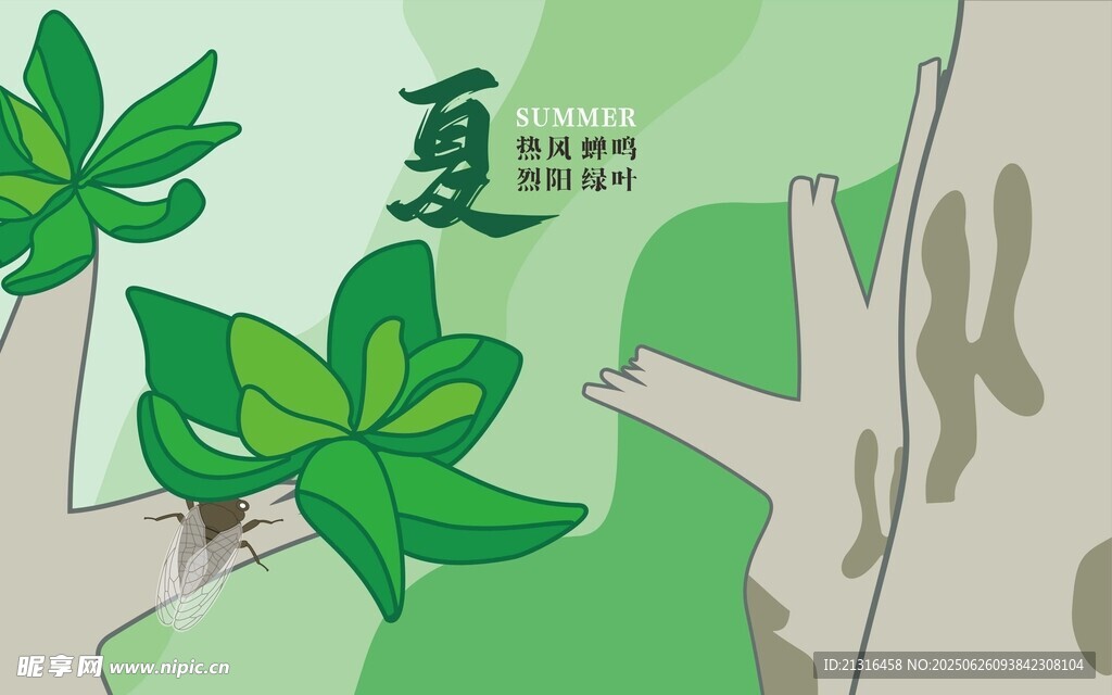夏蟬 矢量