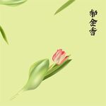 郁金香 矢量