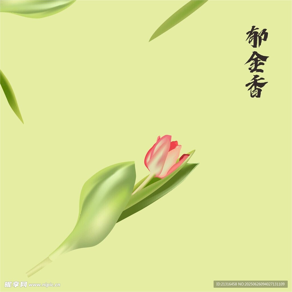 郁金香 矢量