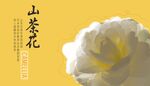 山茶花 矢量