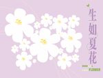 生如夏花 矢量