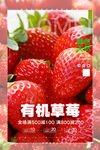 新鮮草莓