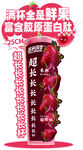 桑葚果汁暢享天然好滋味