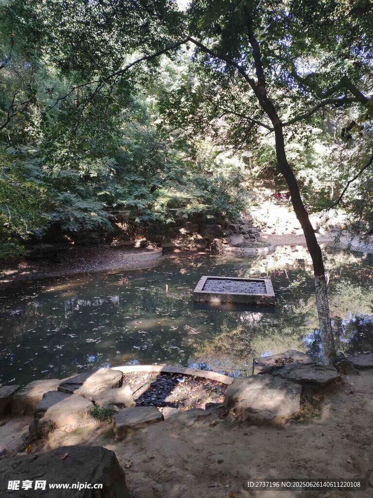 水塘
