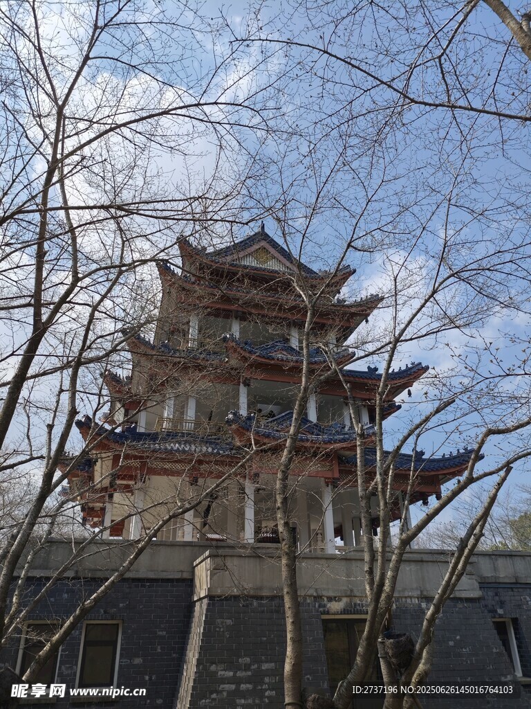 黿頭渚