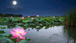 AI生畫