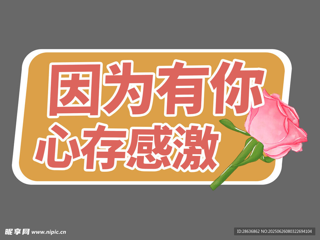 感恩手舉牌 