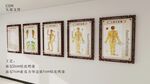中醫經絡人體圖掛畫展示