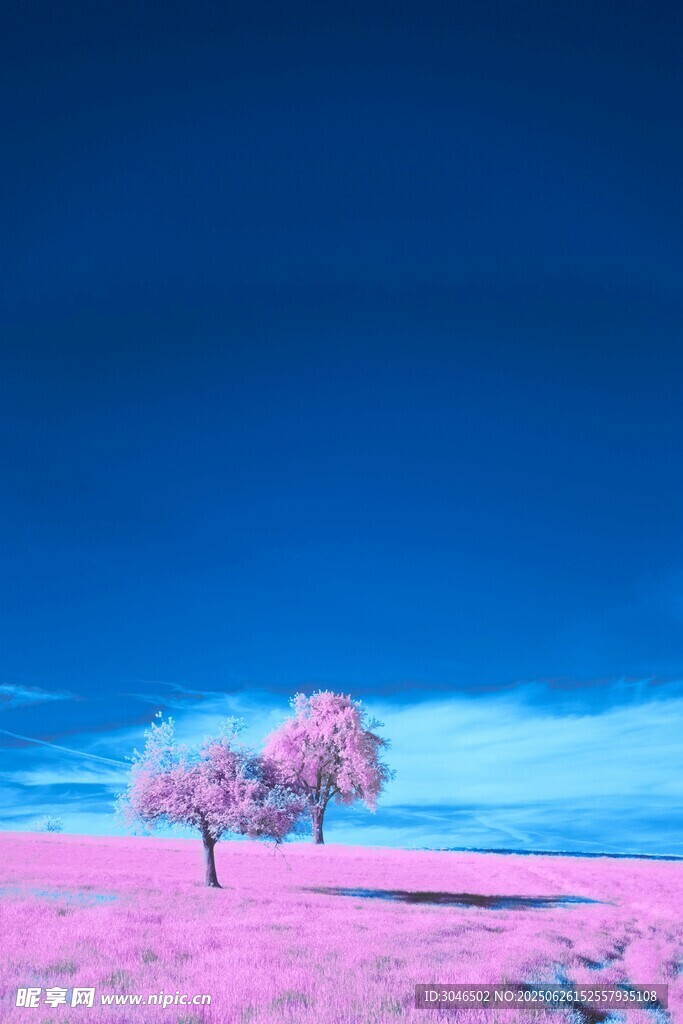 夢幻粉藍風景中的孤獨樹