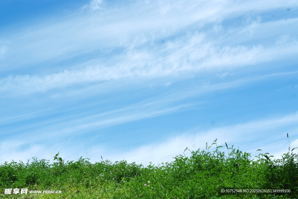 藍天綠野風景圖