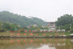 中國化橘紅第一村大嶺村