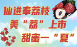 仙進奉荔枝戶外海報