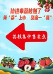 增城仙進奉荔枝售賣點