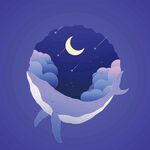 月夜下的夢幻鯨魚