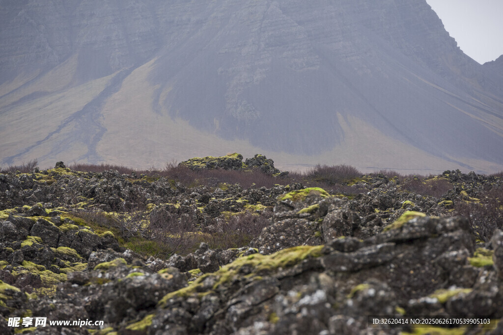 火山地貌中的黃綠植被景觀