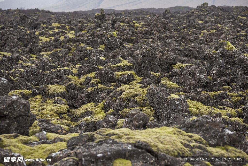 火山地貌上的斑駁苔蘚