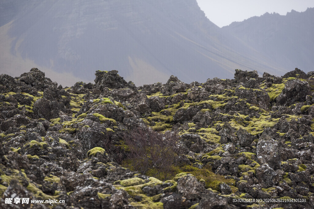 火山地貌景觀 地表覆苔蘚