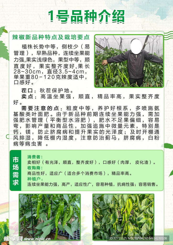 辣椒單頁