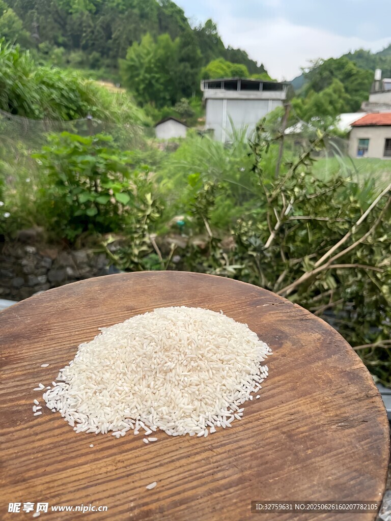 木盤上的谷物與自然背景