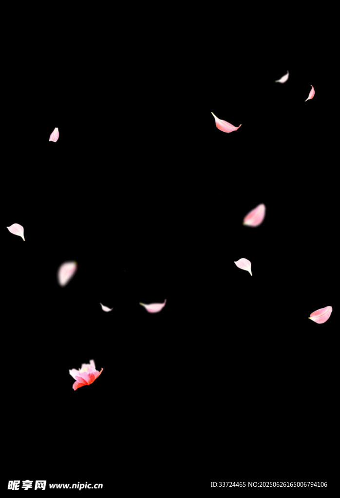 櫻花花瓣粉色飄絮素材