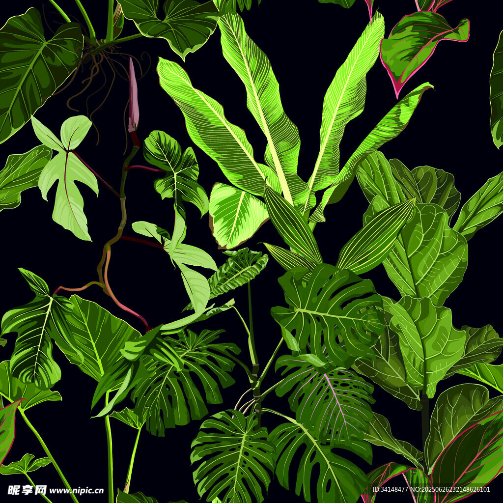 繁茂熱帶綠植景觀