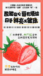 酸甜草莓心 開啟健康鮮生活