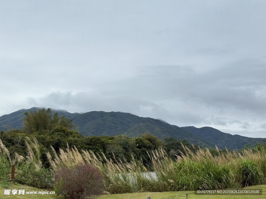 山間草地風(fēng)景