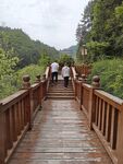 漫步山間木橋 享自然之美