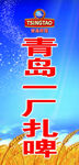 青島一廠扎啤宣傳圖