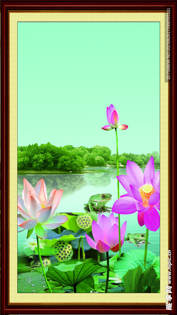 荷花