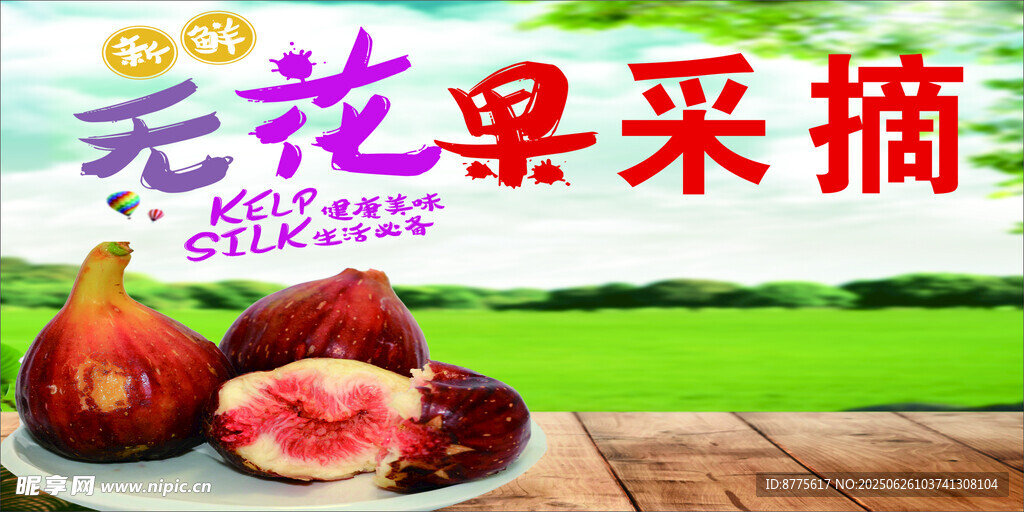 無花果采摘