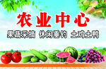 采摘園