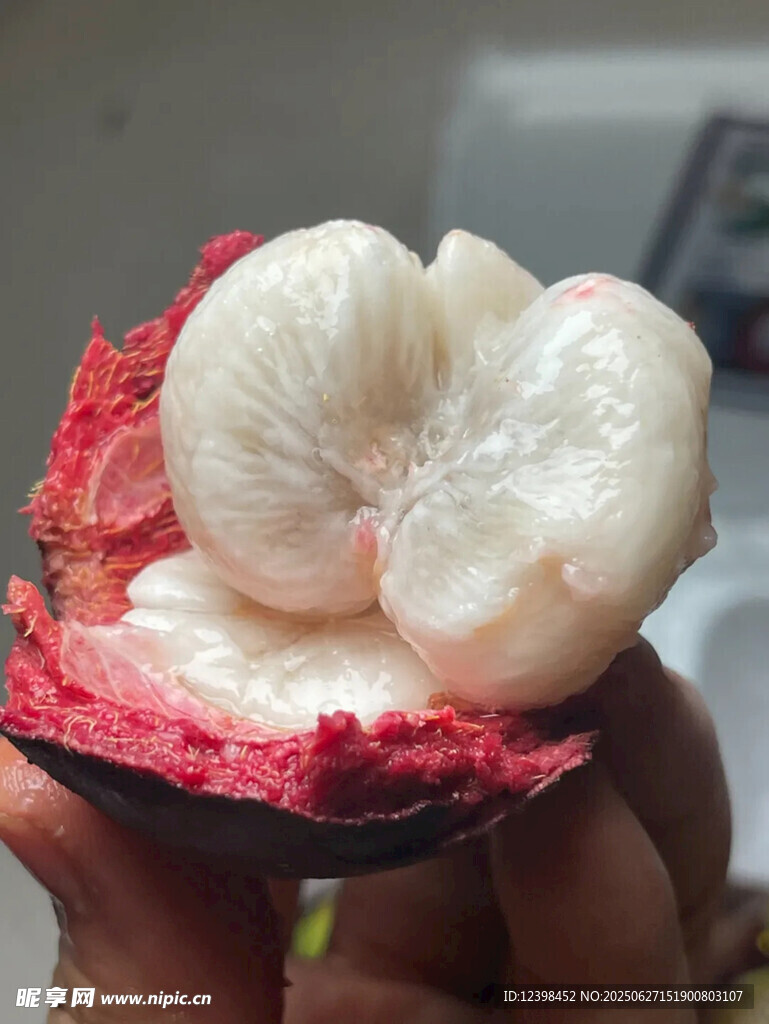 山竹