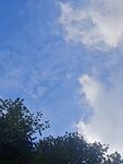 藍天綠樹間的白云