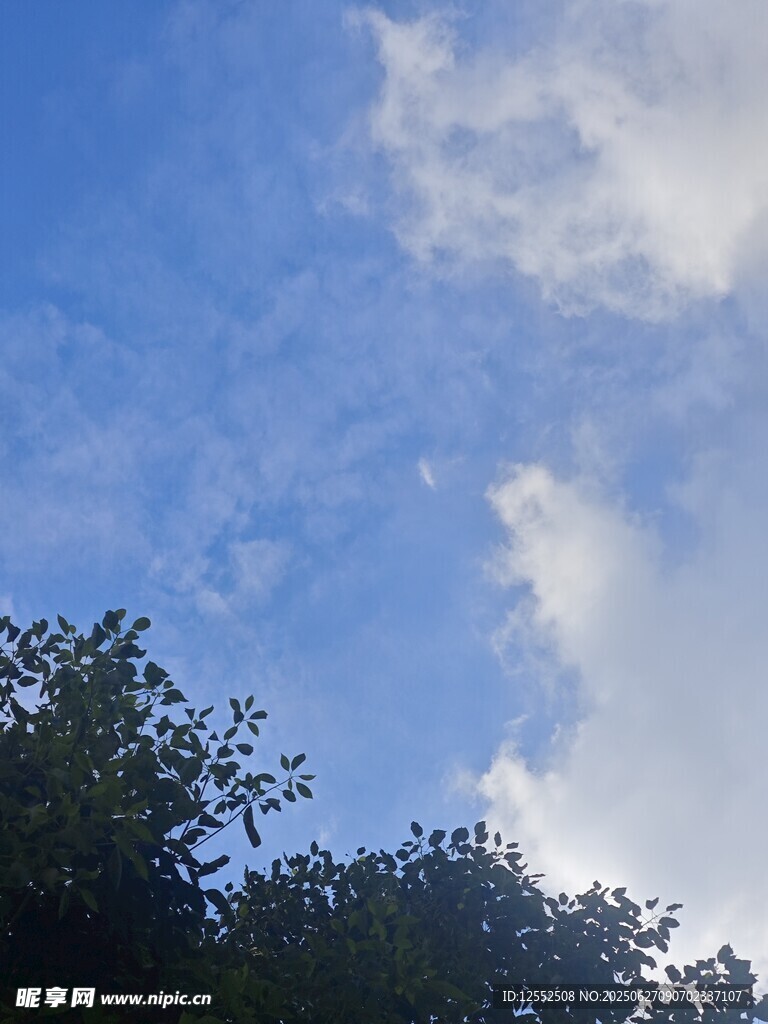 藍(lán)天綠樹(shù)間的白云