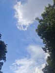 藍天綠樹間的白云美景