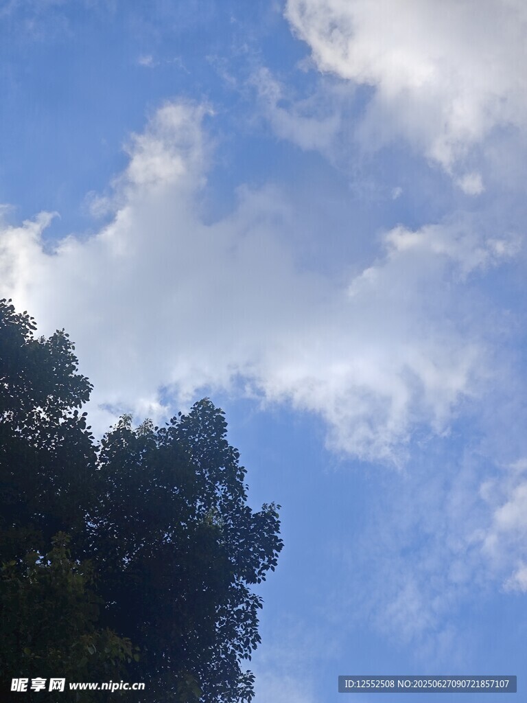 藍天綠樹間的美麗景致