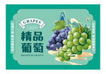 精品葡萄