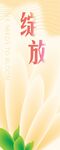 綻放