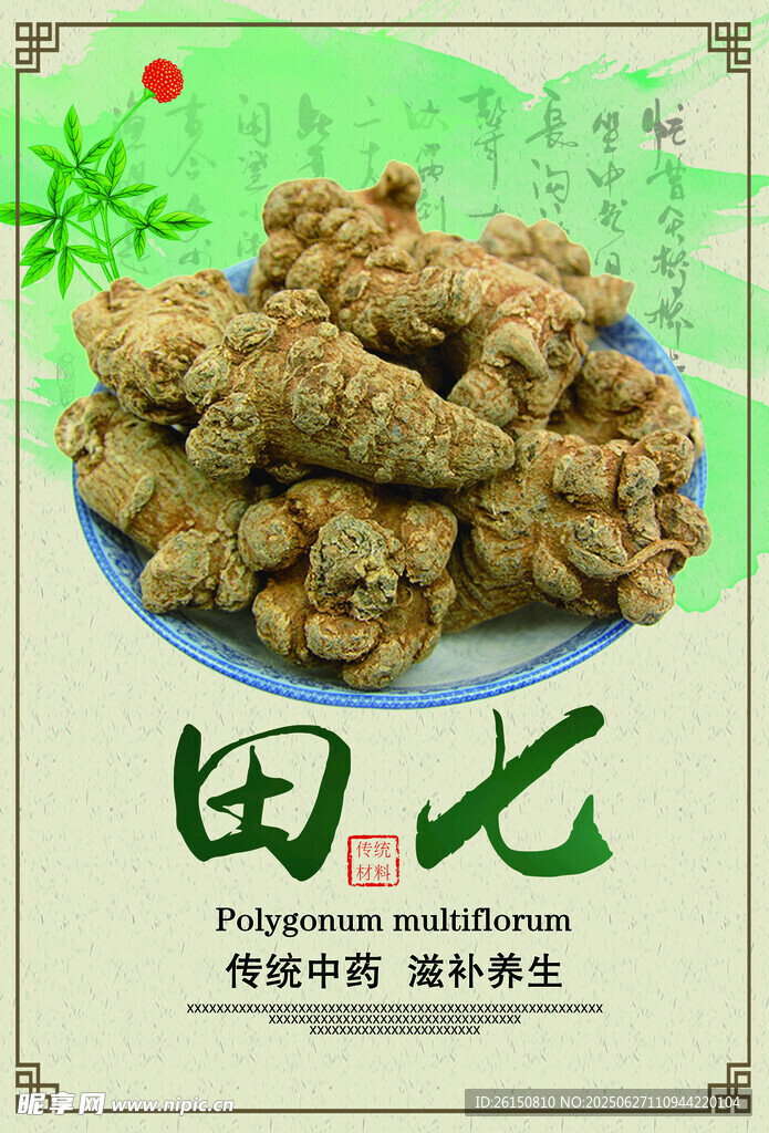田七海報