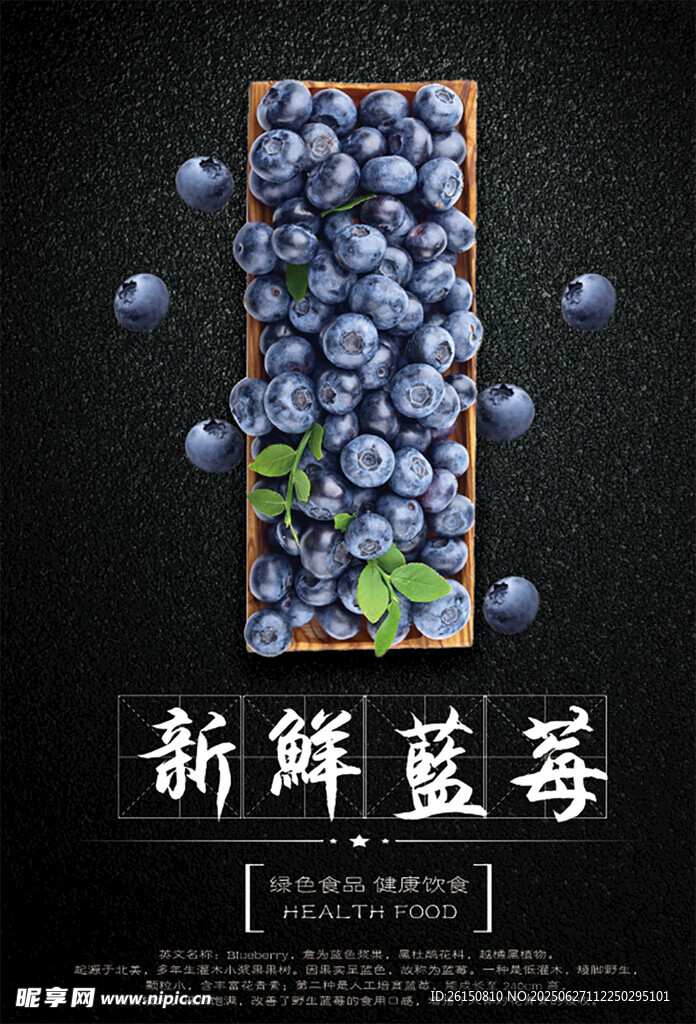 藍莓海報