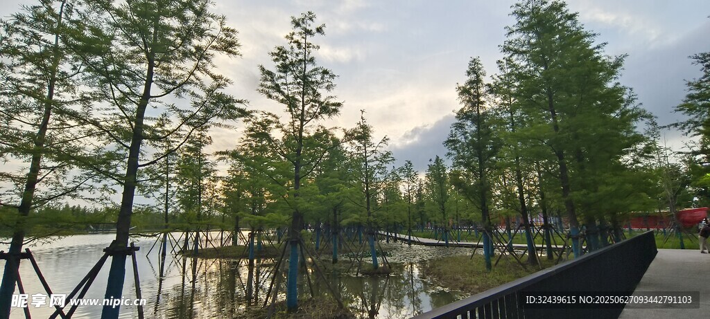 湖畔棧道邊的蔥郁樹木