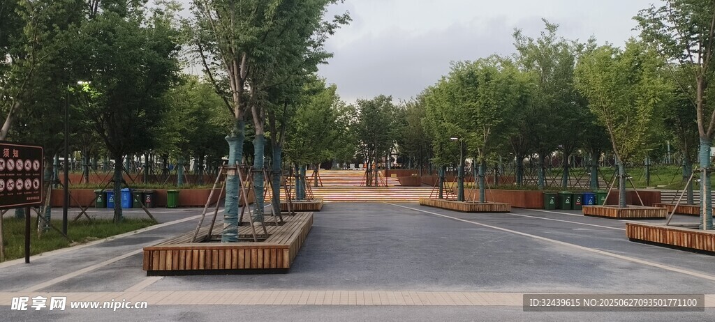 城市林蔭街道景觀