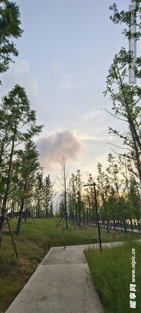 林間小道的靜謐自然風(fēng)光